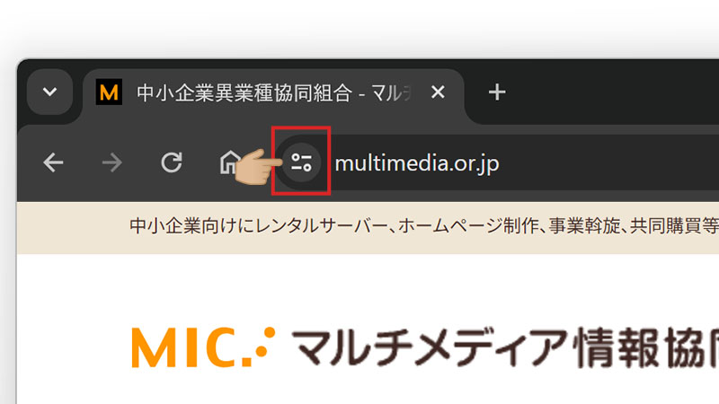 Google Chrome アドレスバーアイコン